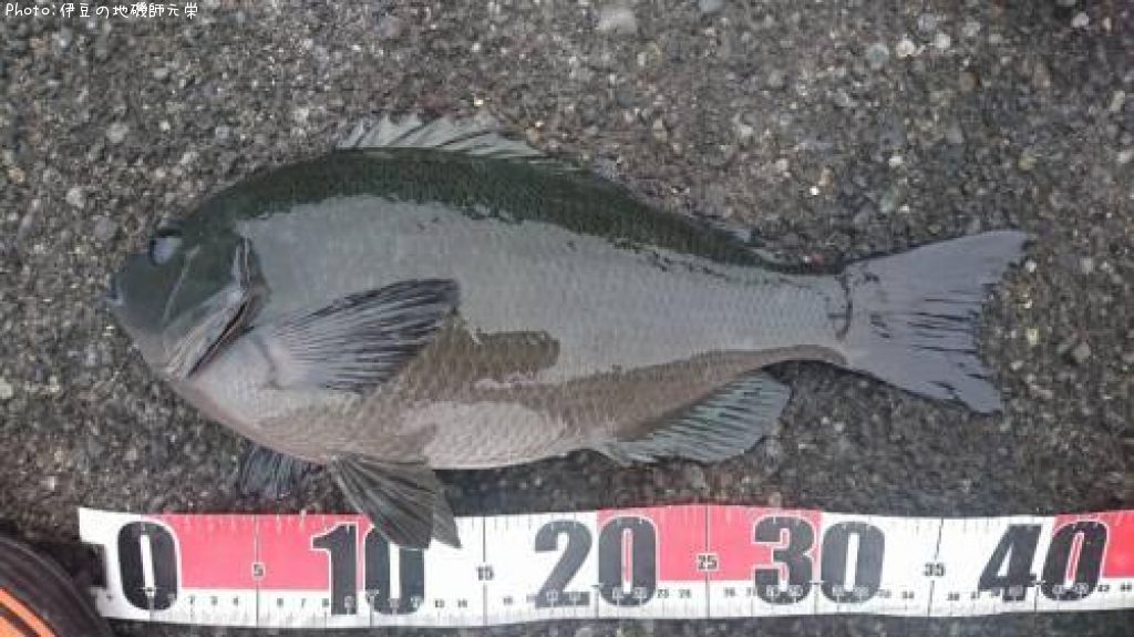 �����᥸��