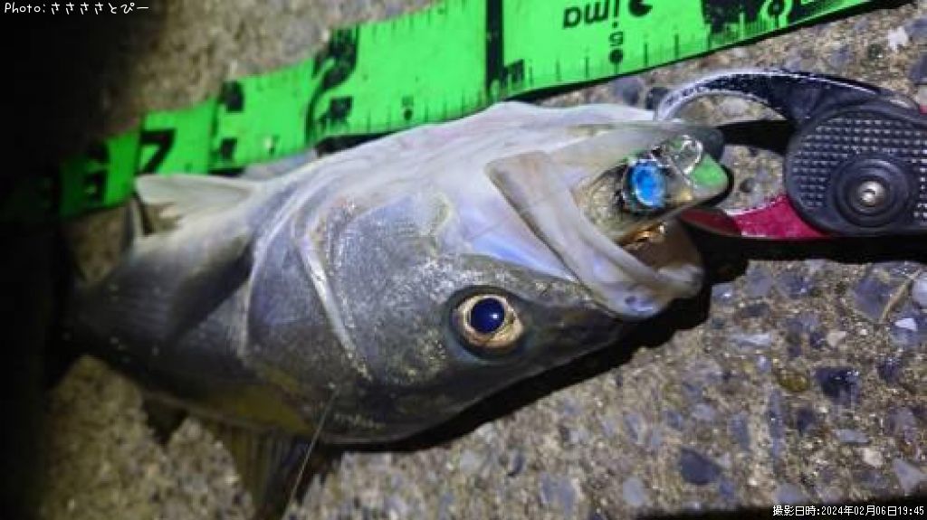 �����Х�