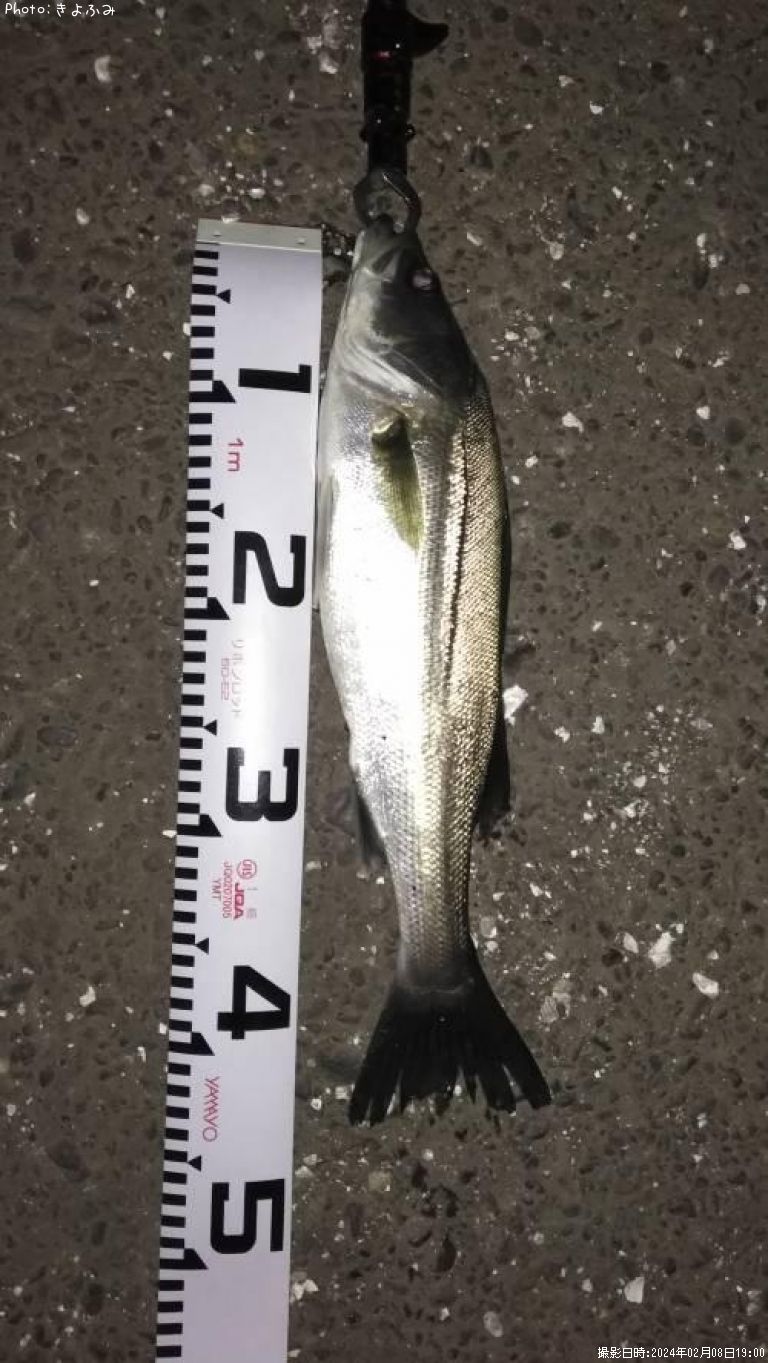 �����Х�