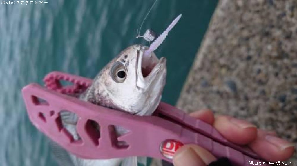 ���ޥ����������