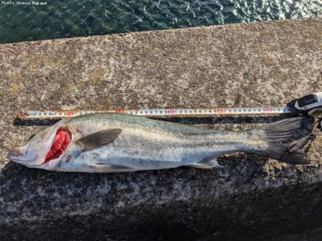 �����Х�