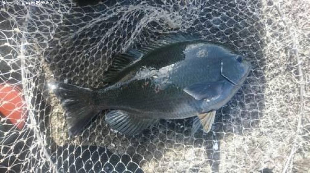 �����᥸��