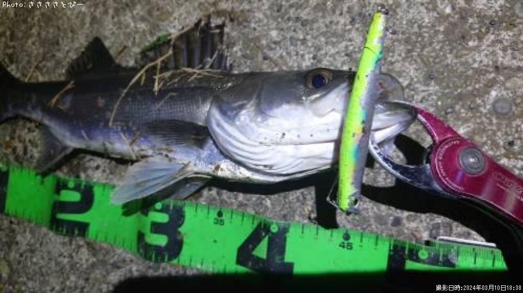 �����Х�