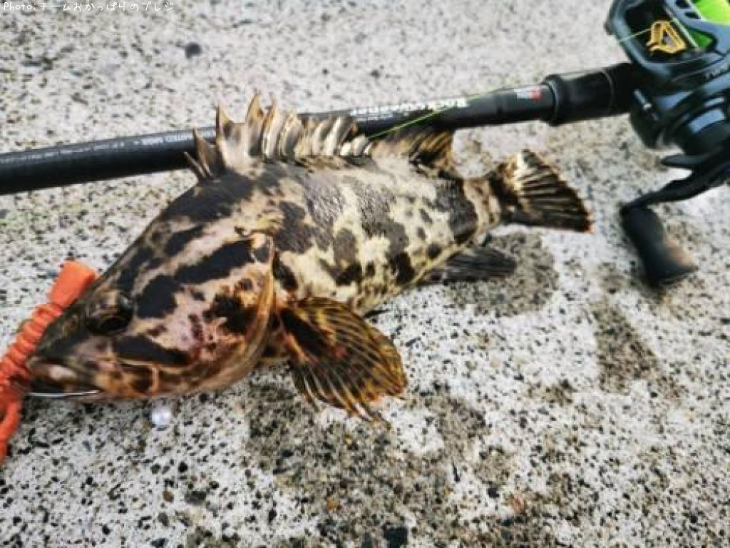 �����Υ���Х�