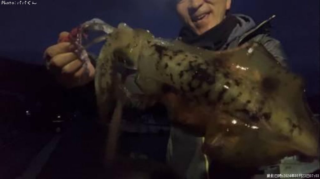 �����ꥤ��