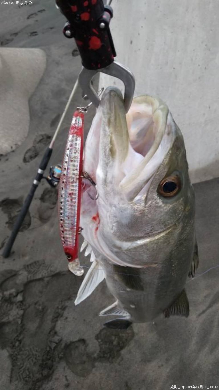 �����Х�