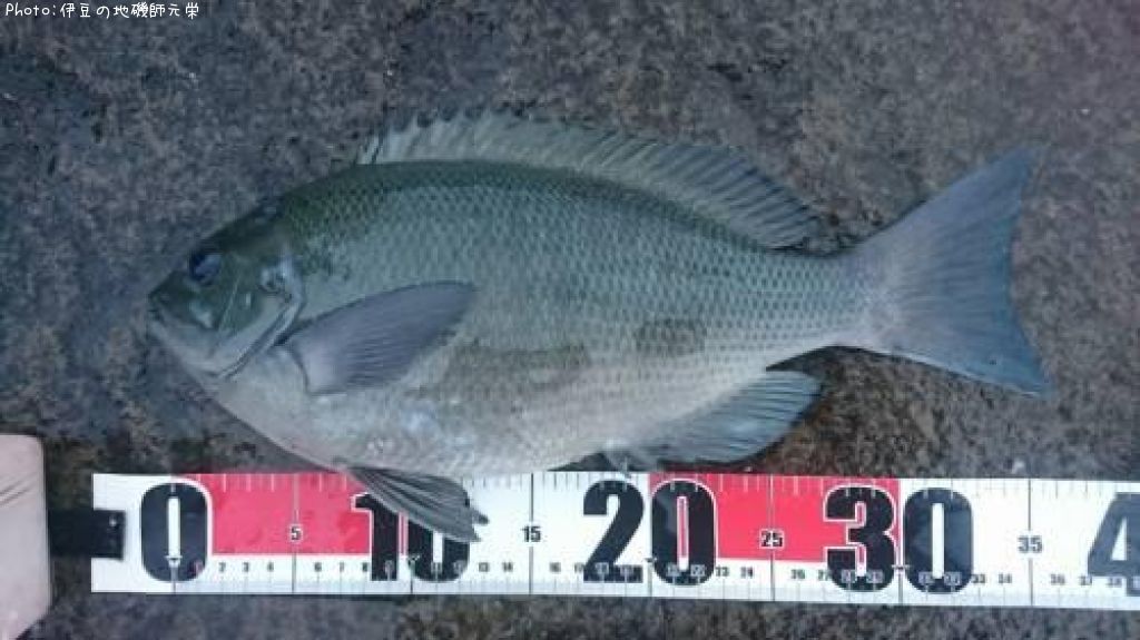 �����᥸��