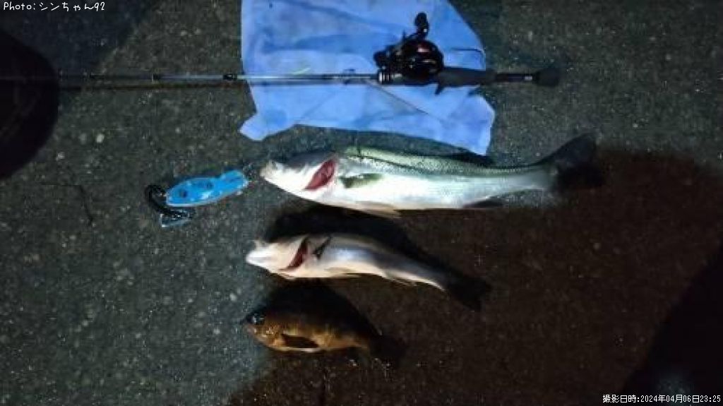 �����Х�