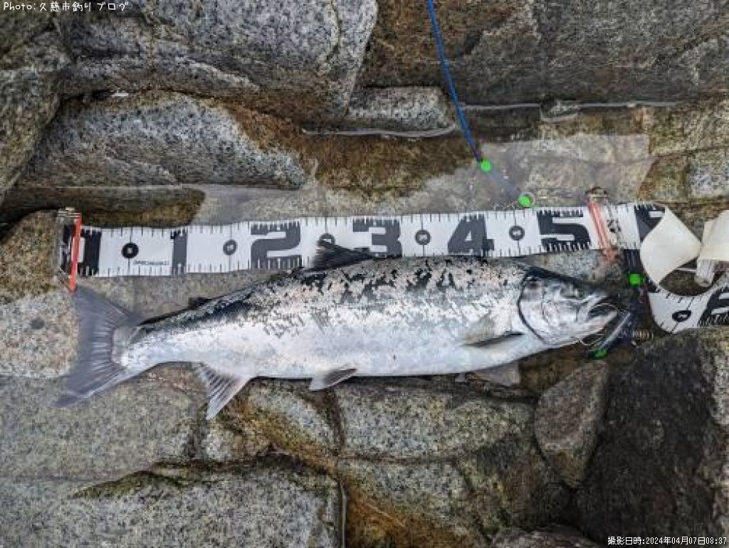 ������ޥ�