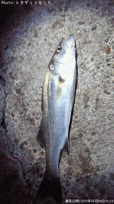 �����Х�