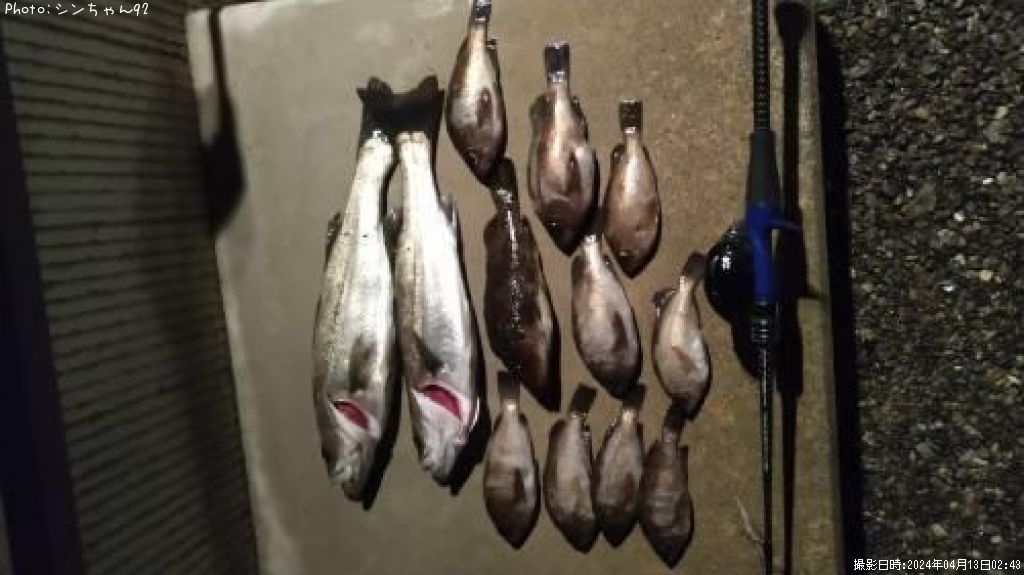 �����Υ���Х�¾