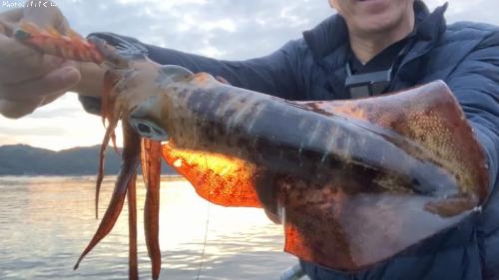 �����ꥤ��