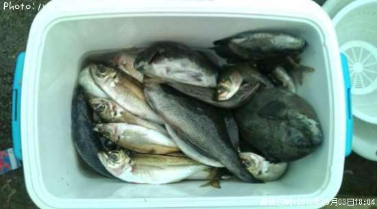 ���͡����㻪���᥸��