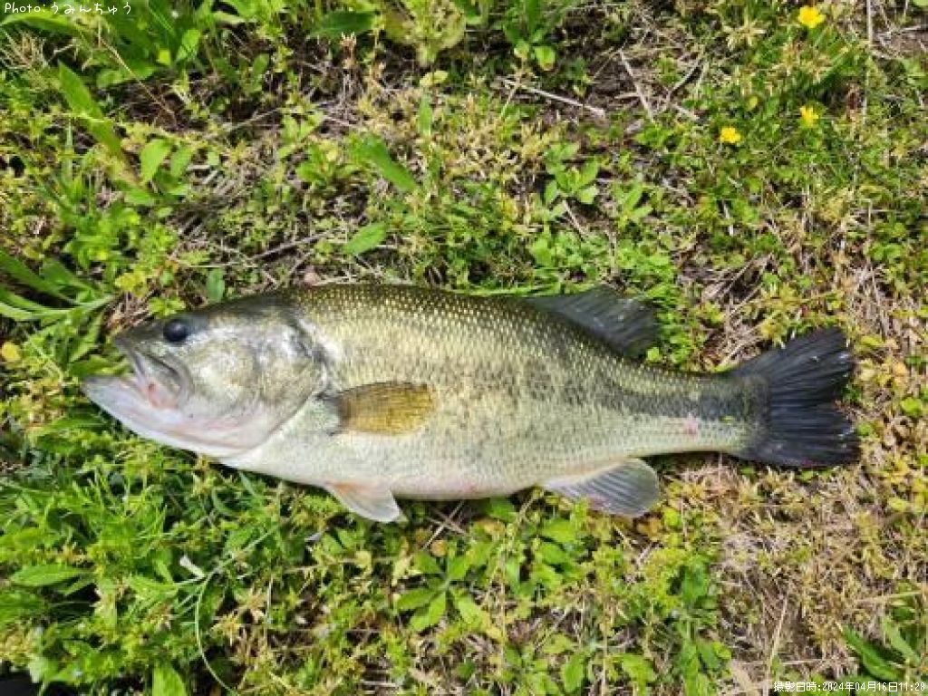 �֥�å��Х�