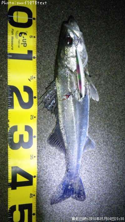 �����Х�