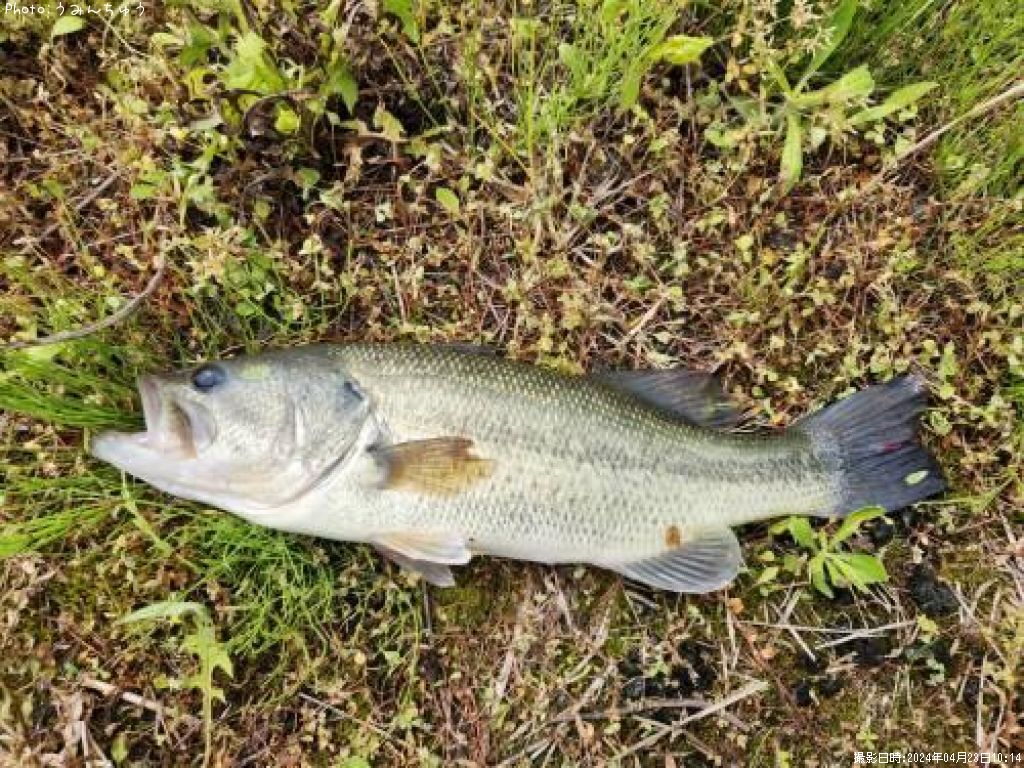 �֥�å��Х�