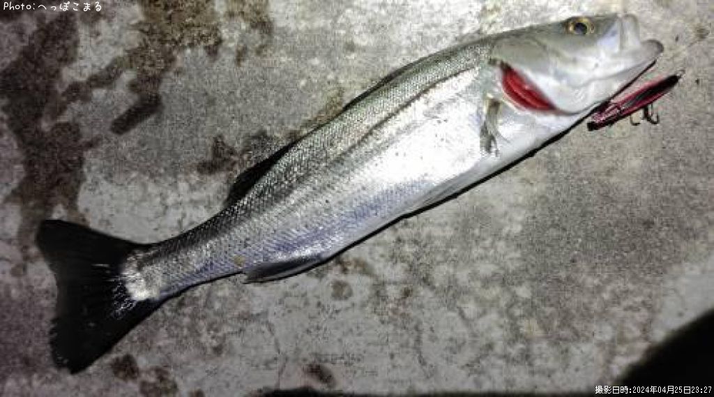 �����Х�