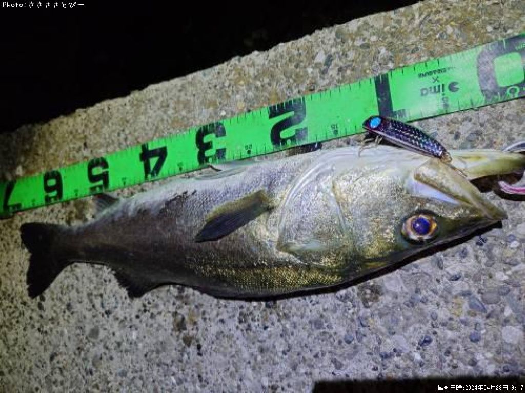 �����Х�