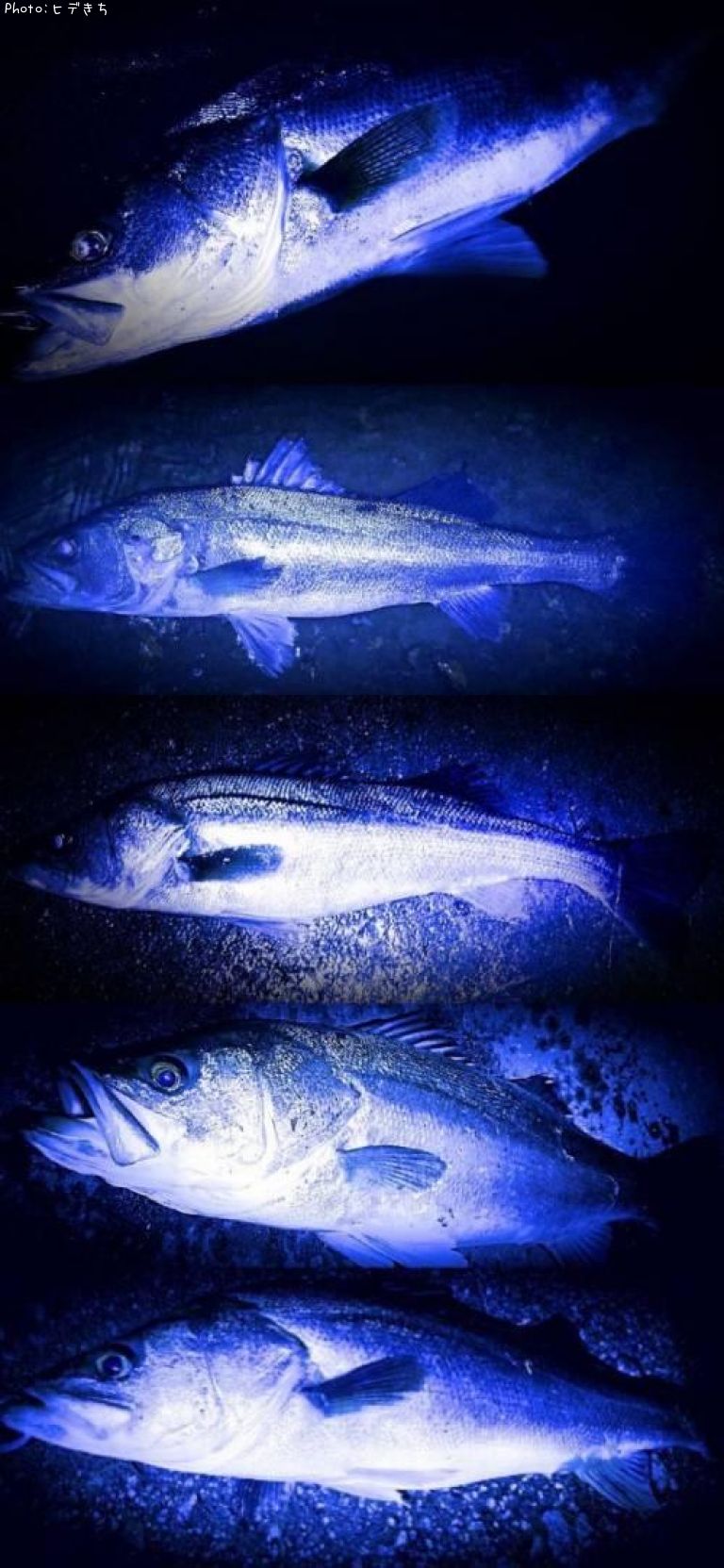 �����Х�