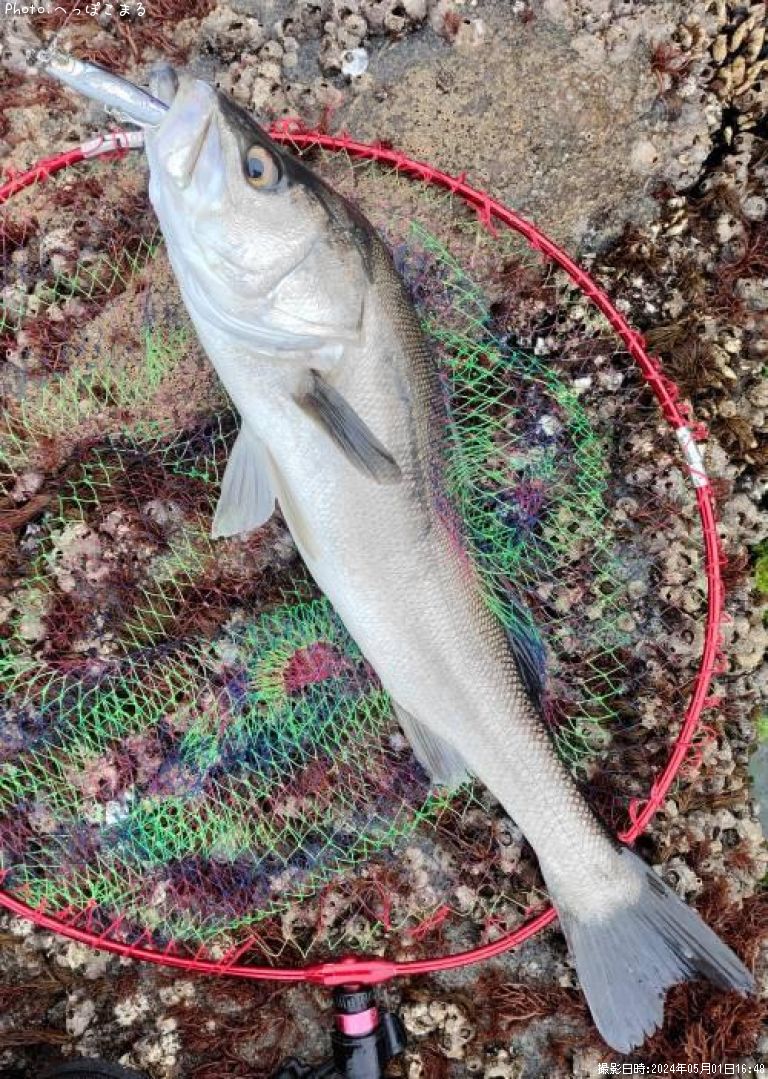 �����Х�