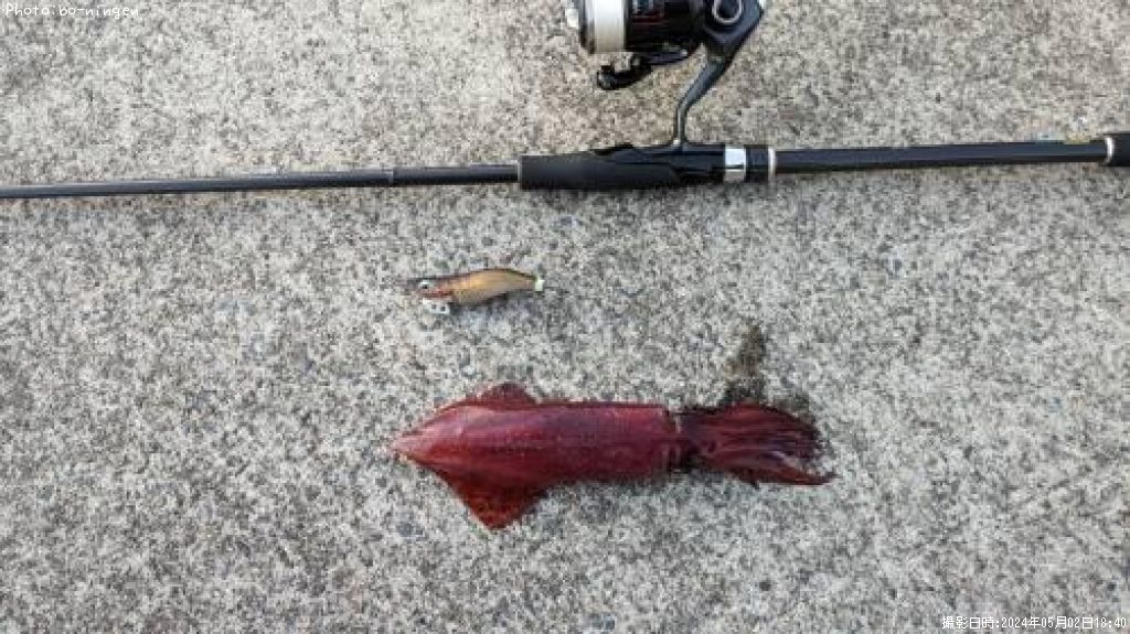 ���󥵥�������