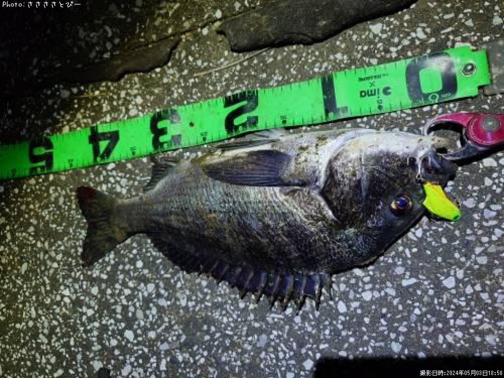 ���������������Х�