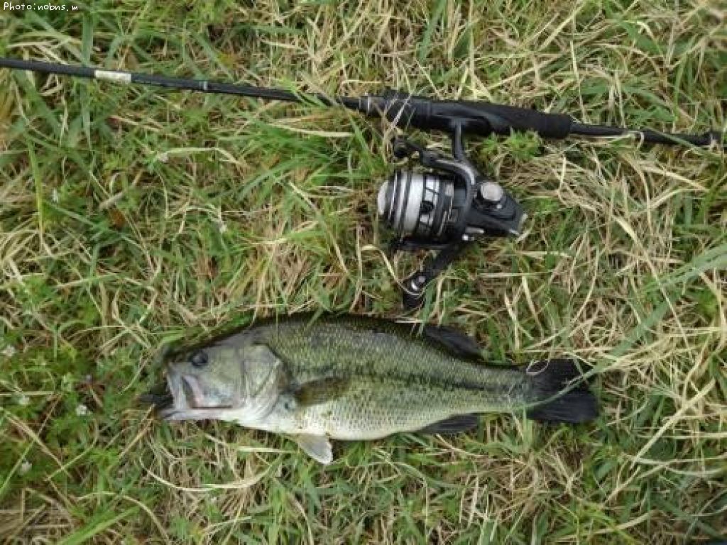 �֥�å��Х�