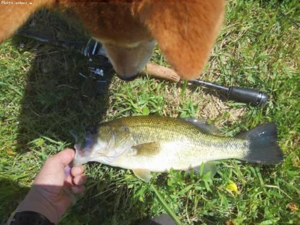 �֥�å��Х�