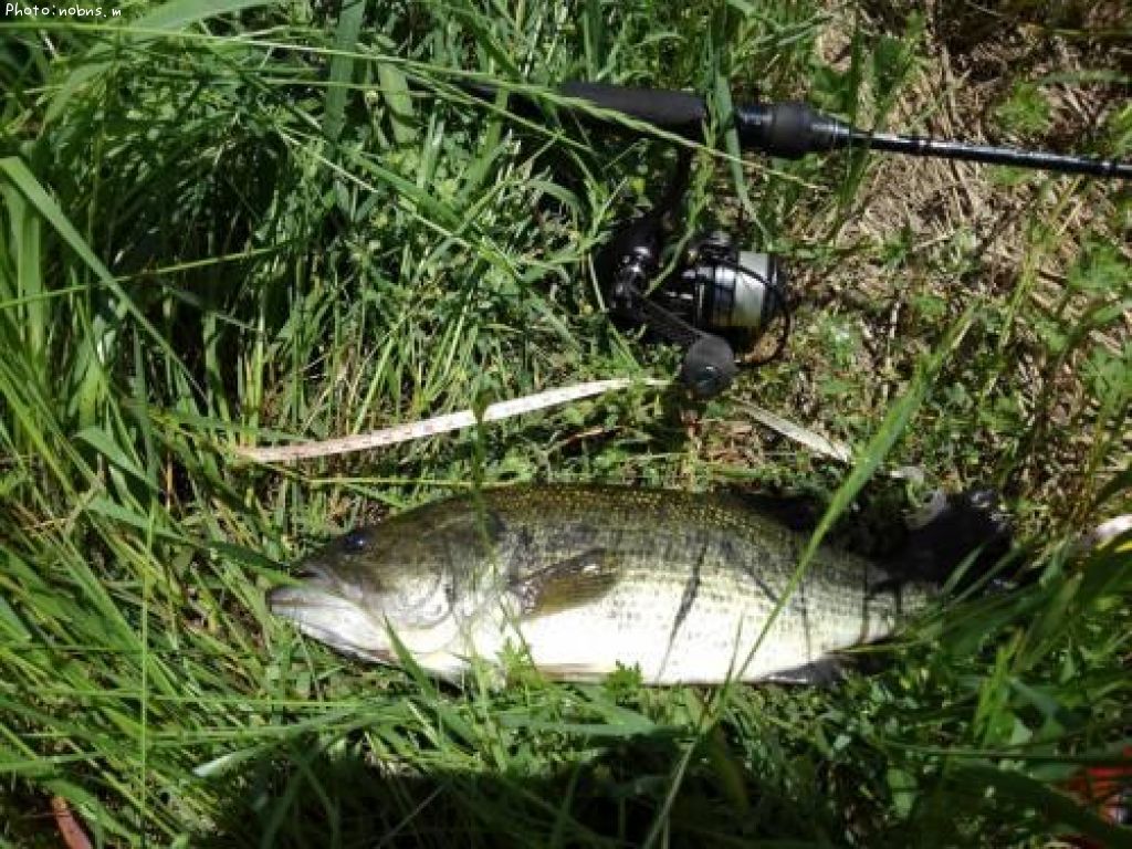 �֥�å��Х�