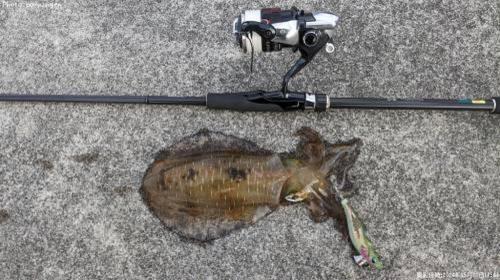 �����ꥤ��