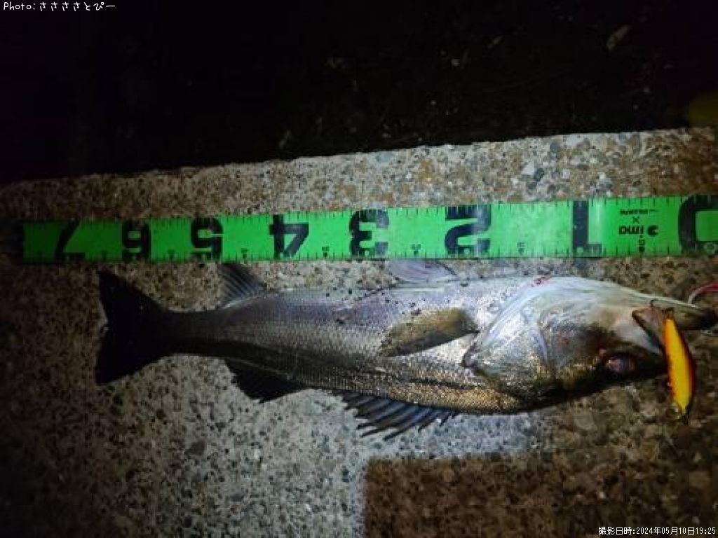 �����Х�