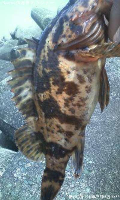 �����Υ���Х�