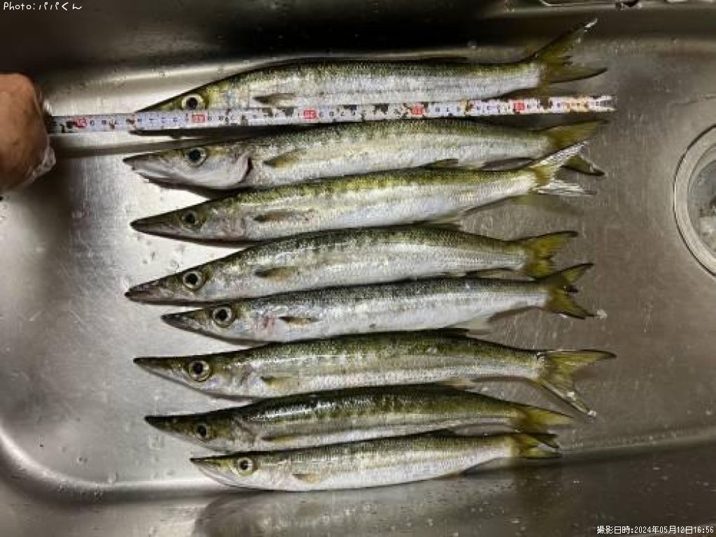 ������󥫥ޥ�