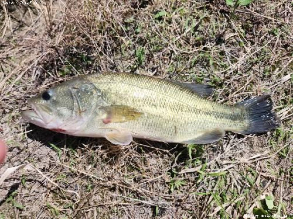 �֥�å��Х�