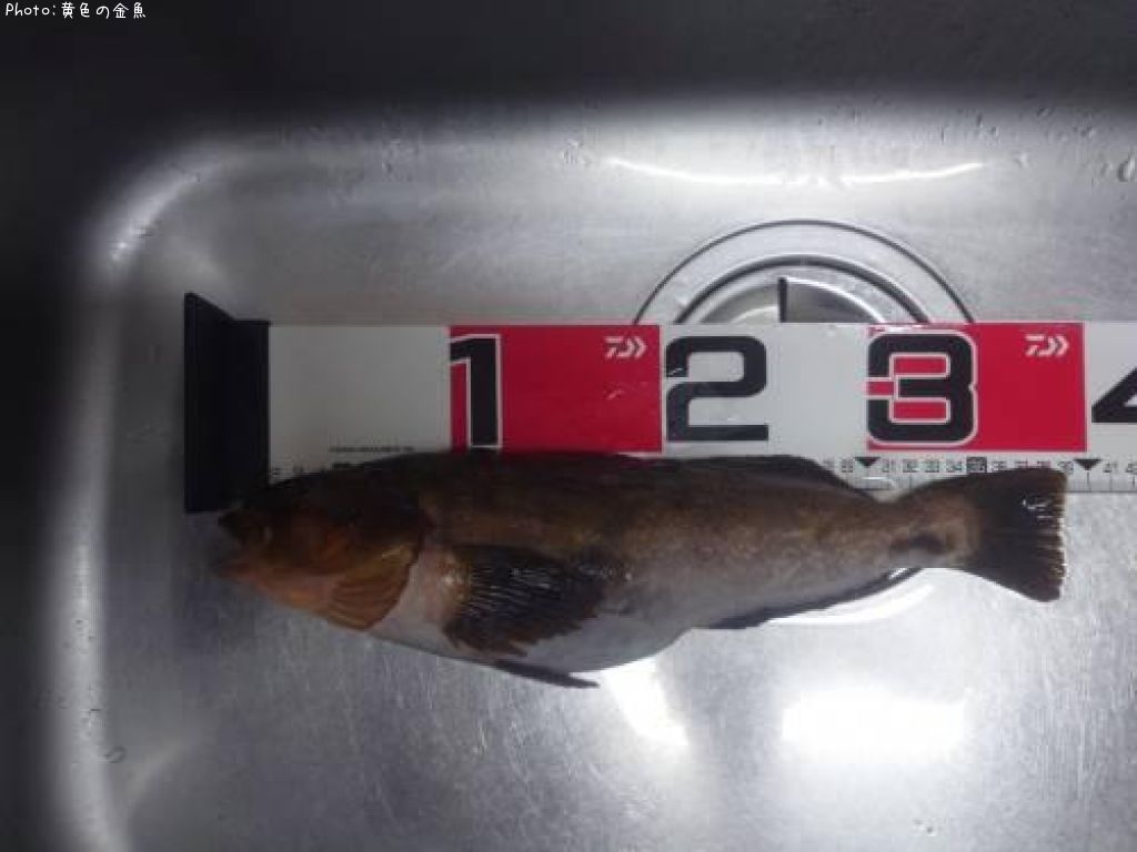 �����ʥ�