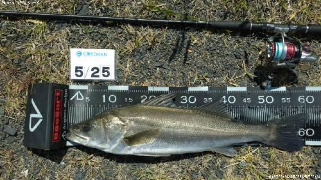 �����Х�