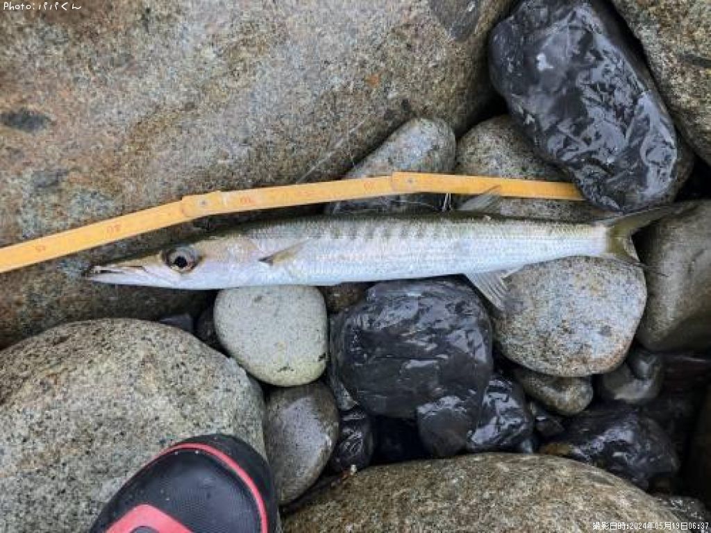 ������󥫥ޥ�