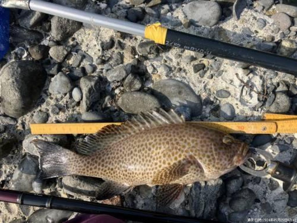 �������ϥ�