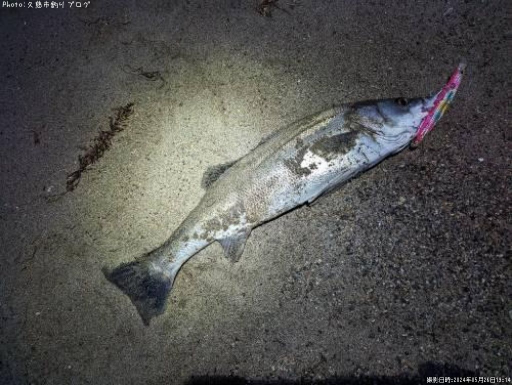 �����Х�