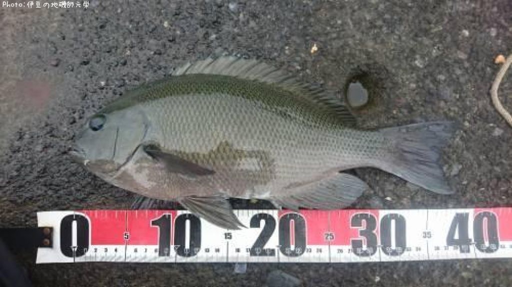 �����᥸��