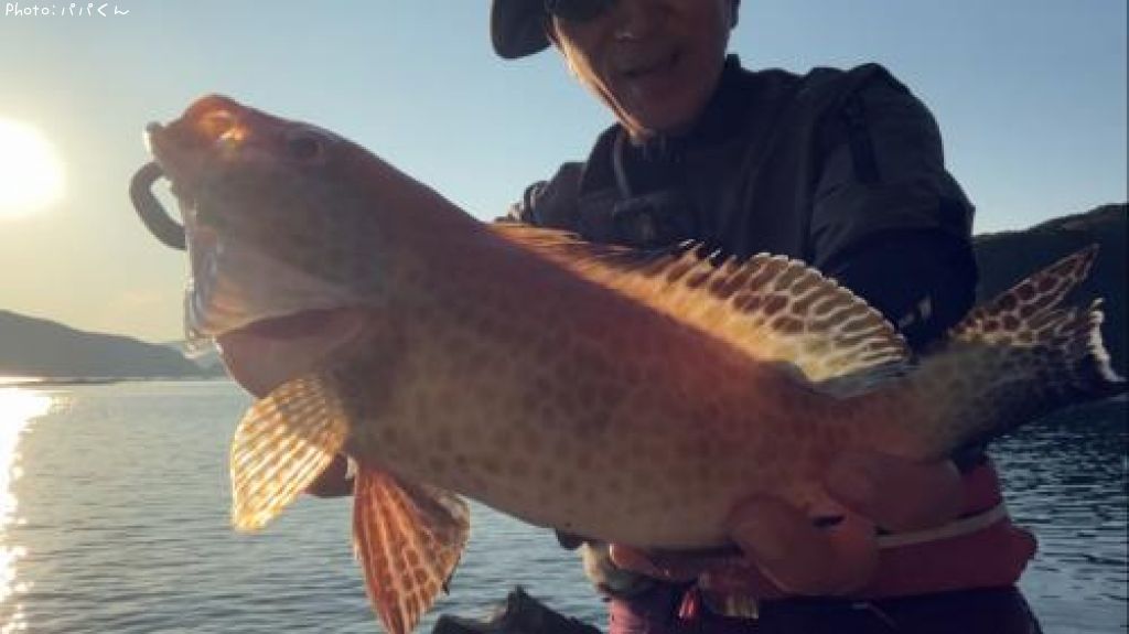 �������ϥ�