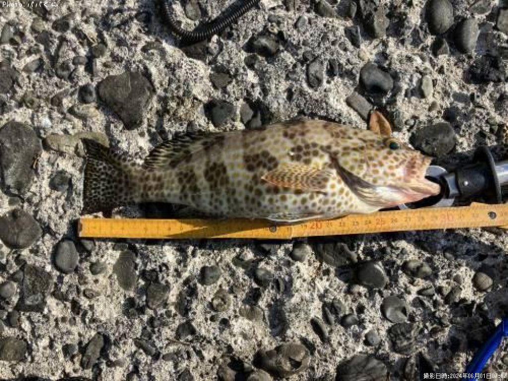 �������ϥ�