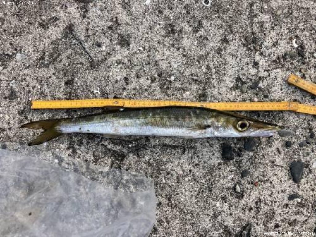 ������󥫥ޥ�