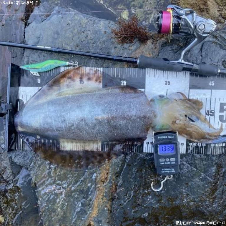 �����ꥤ��