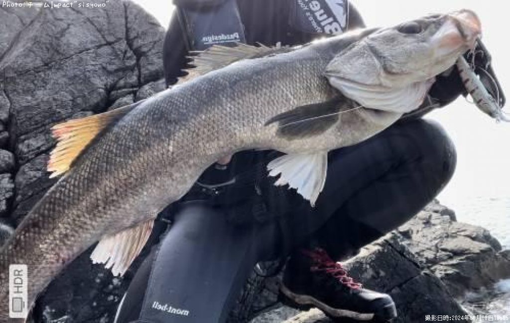 �����Х�