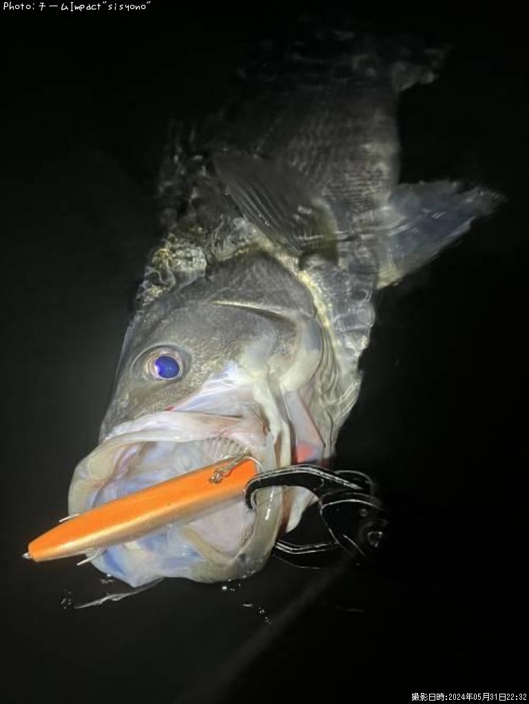 �����Х�