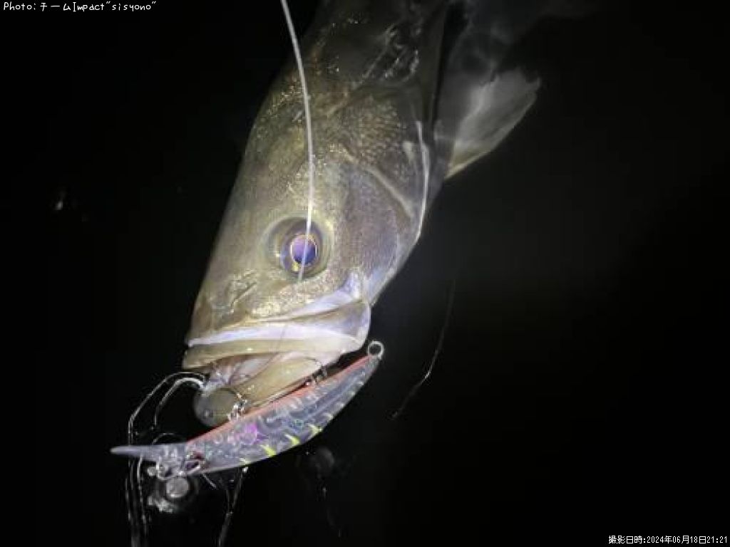 �����Х�