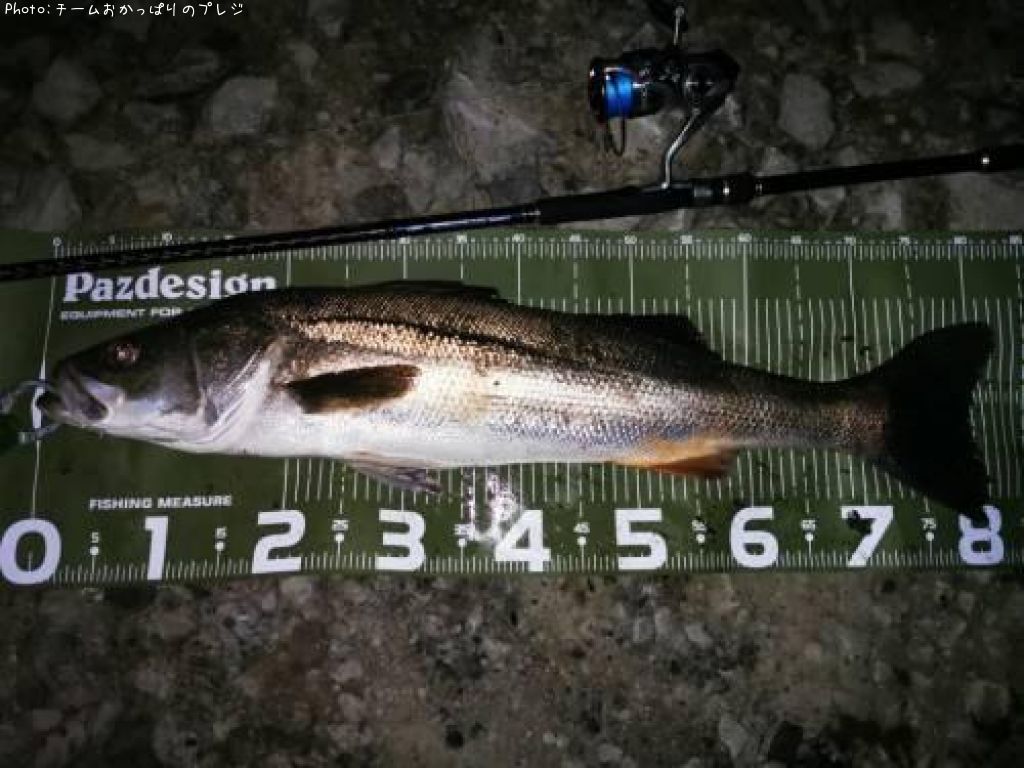 �����Х�