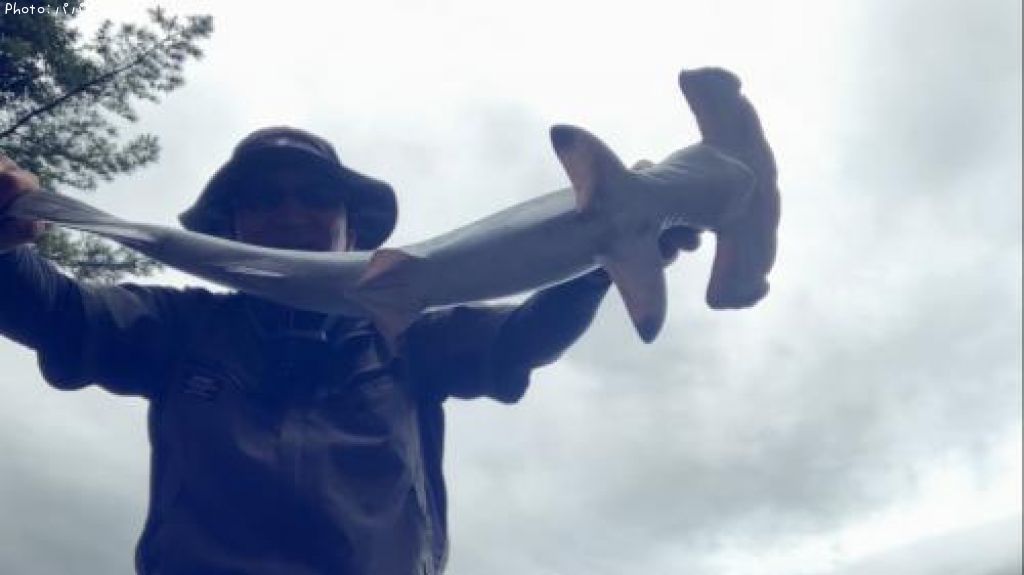 �ϥ�ޡ��إåɥ��㡼��