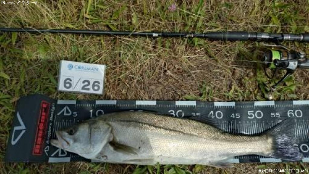 �����Х�